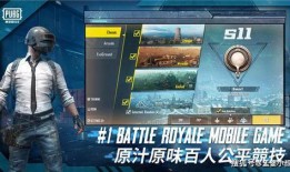 吃鸡爆料新皮肤最新版,新皮肤最新版惊艳亮相，视觉盛宴即将开启！